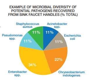 sink faucet handle pathogens
